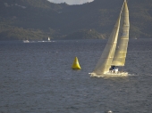 image38