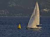 image37